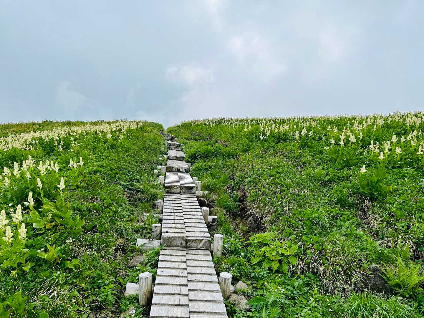 室堂登山口-浄土山-獅子岳-ザラ峠-五色ヶ原 縦走コースの写真
