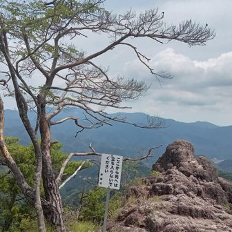 暑いので東照宮に向かいます