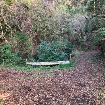 ダムの奥の方に右に入る道があり、これは間違えないと思います。