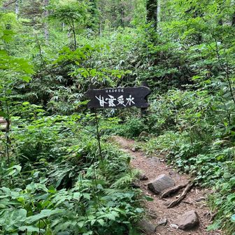 甘露泉水のお水は冷たくて美味しい