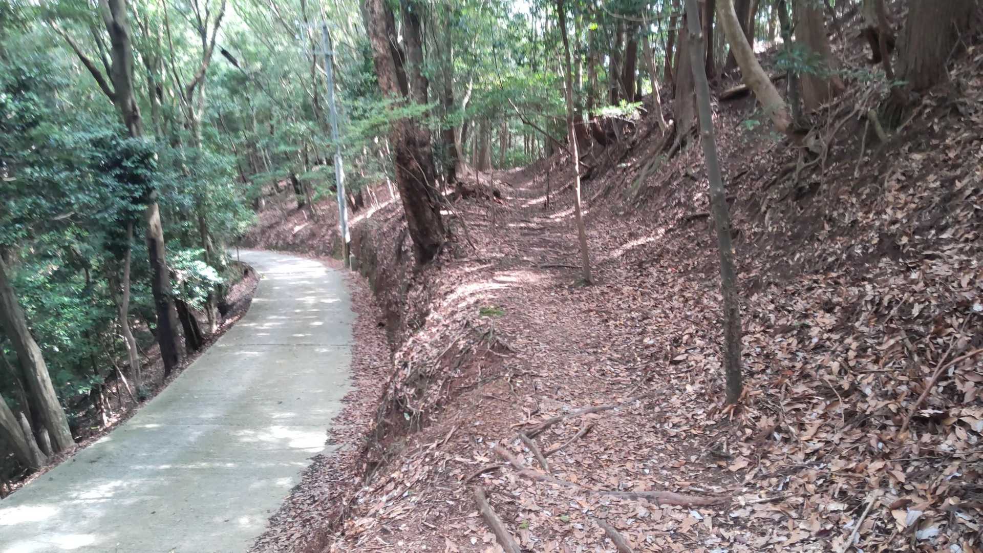 山道で帰ります