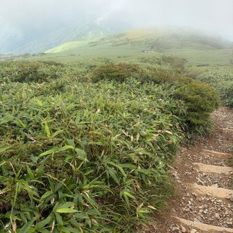遥か下の平標山の家を目指して整備された道を一気に降りる