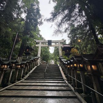 雨☔の参道もいいなぁ