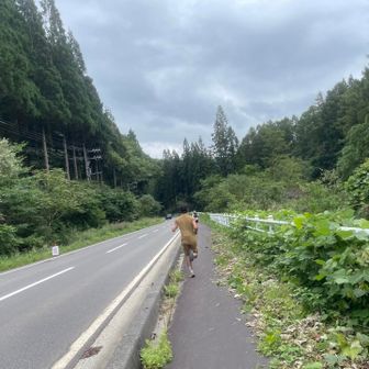 29キロの上田瑠偉選手に凄い勢いで抜かれる