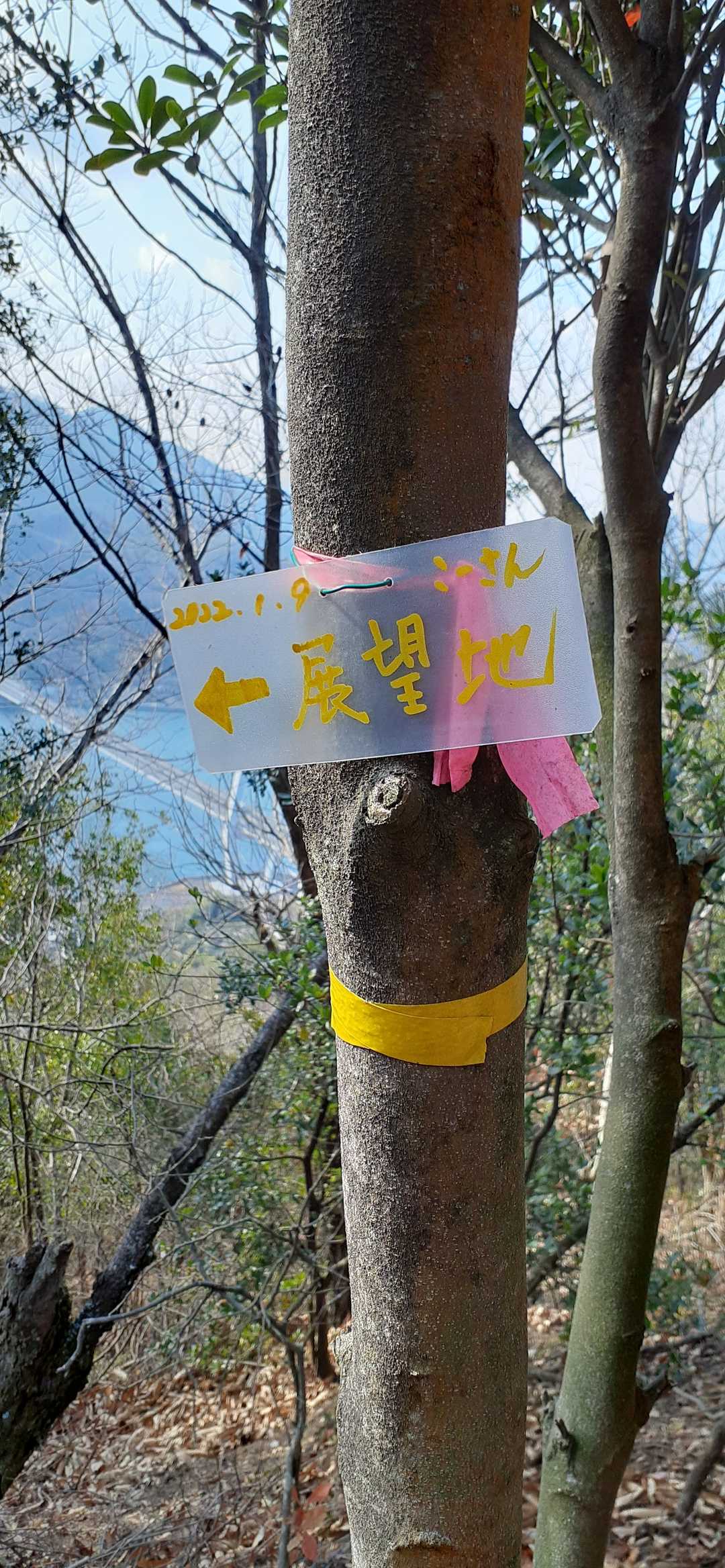三角点山頂から展望地への
案内プレートを付けて下山✌️
大満足の山伏山⛰️