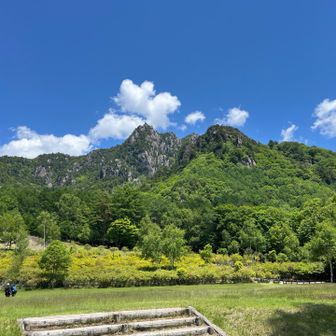 ここに登ったんだ。すげ〜
