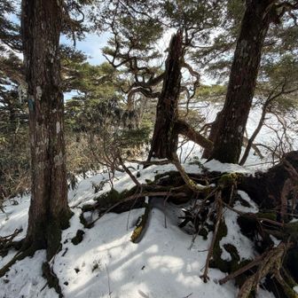 多分ココがピーク🈁
何故に下なのか、、、不明