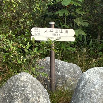 大平山到着