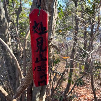 お宮の裏手からお山へ
星田連山のお山の山頂碑は、どのお山もこんな感じに手作り感満載でした。
地元の人に愛されてるって感じ。