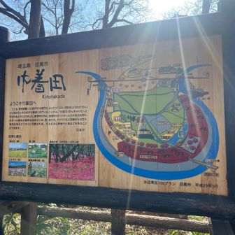 日和田山を下山し、すぐそばの巾着田を訪ねた。