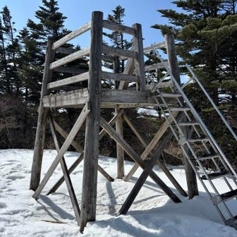 山頂まで戻って、おやつタイム🍭