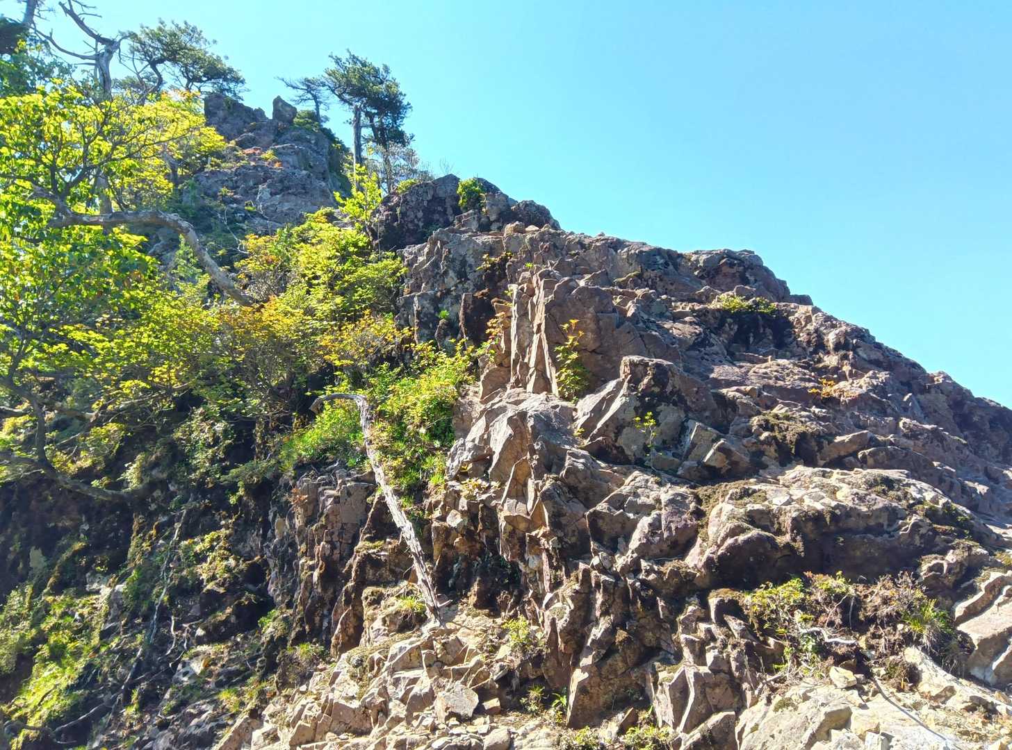 鹿納山登山口-鹿納谷登山口-鹿納山 往復コースの写真