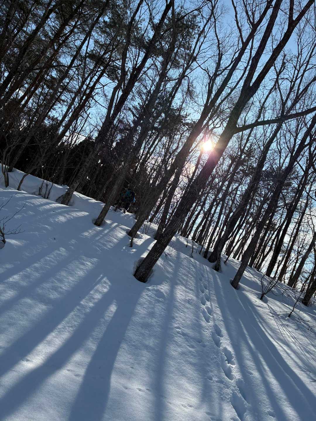 下山中
太陽が…☀️夕方みたい…