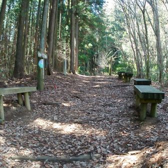 ベンチ来た～！ここで一安心！四合目だ！