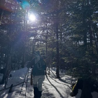 朝の太陽の光がやわらかで
空気も清々しい