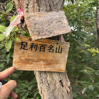 山頂？山名板は判読出来ませんね