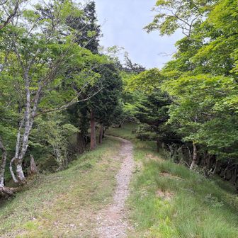 ここまで来ると稜線歩きの様相