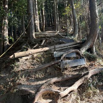 遠かった粟ヶ岳山頂へ向けて、ラストの鬼急登👹

久しぶりのロング工程未満のミドル工程。
鈍った身体に鞭打ってひたすら登ります😁