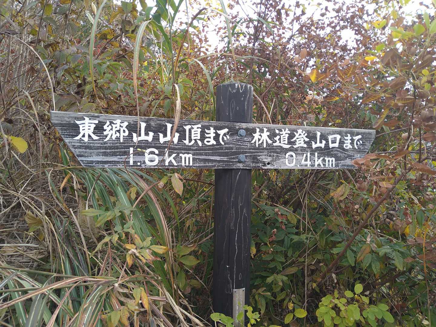 登山口まであと400ｍ！