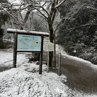 福井の人に愛されている山⛰️いつでも登れる山！冬山の練習にまた来ます！