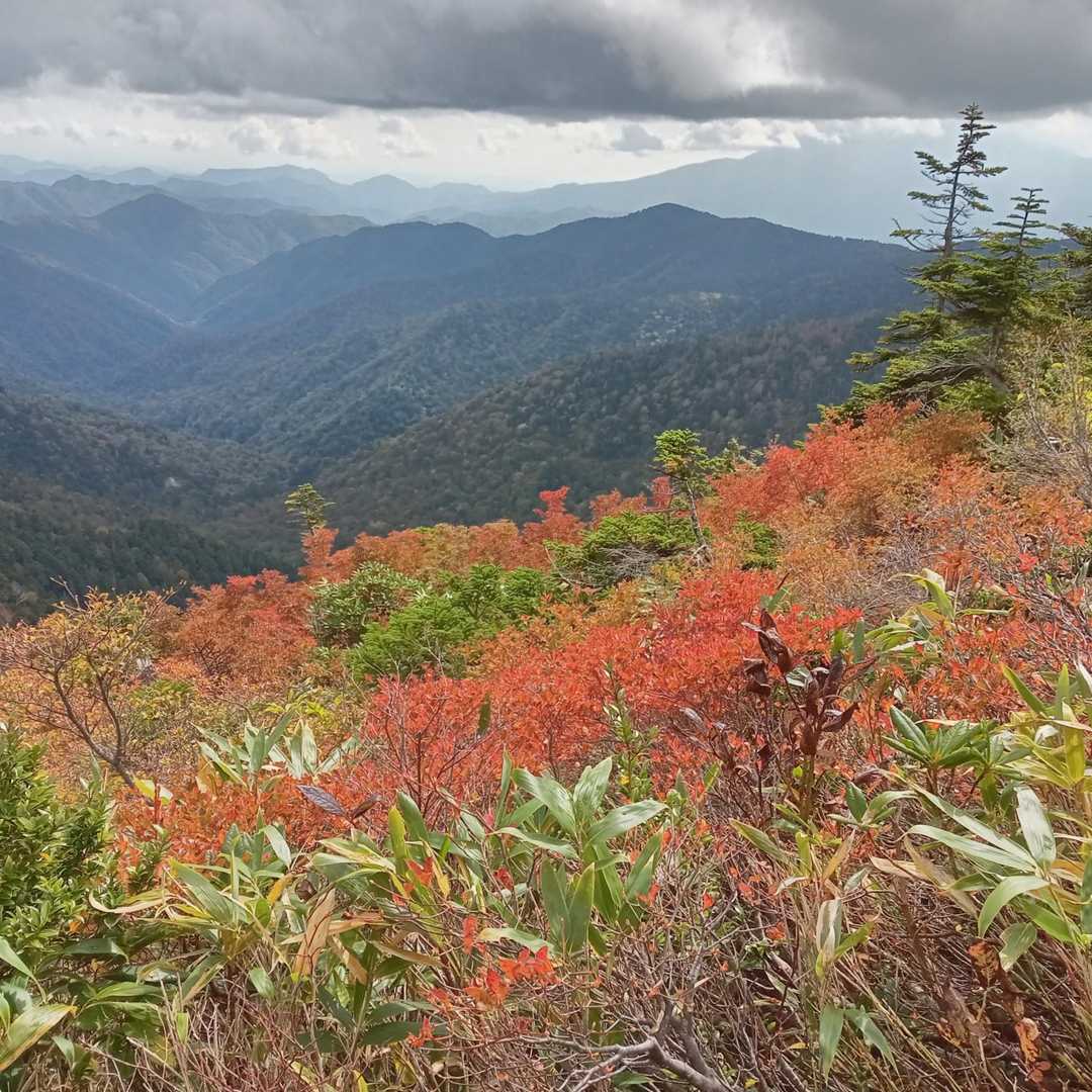 馬坂峠〜帝釈山〜田代山ピストンコースの写真