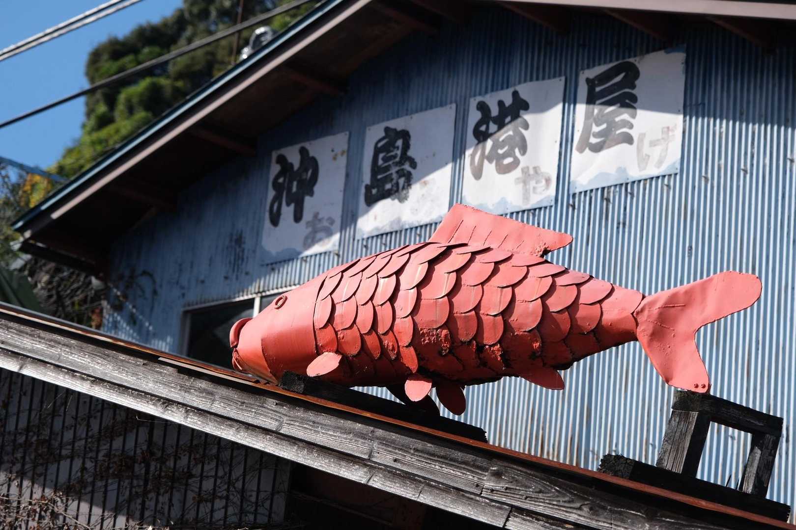 釣りやマリンスポーツを楽しんでいる方が多かった。