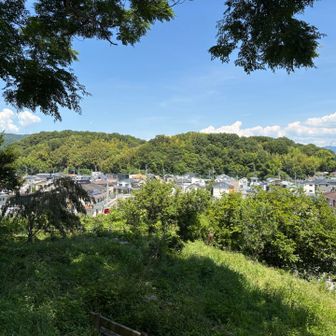 降りようとすると星岡山が見える
