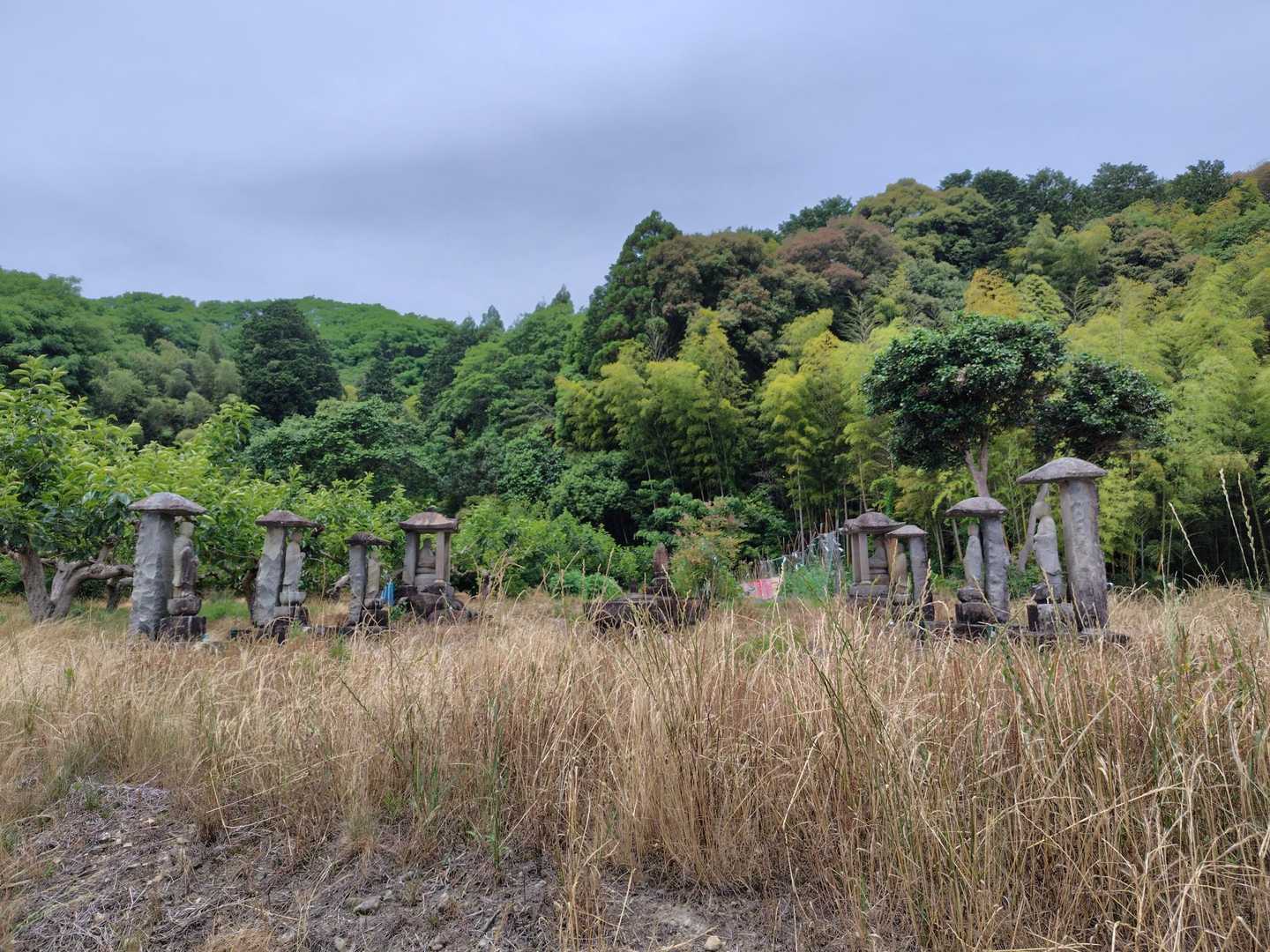 って考えながら歩いていると

草むらの中、唐突に
石の背もたれ付きお地蔵さん？

↑お地蔵さん六名と
坐像の上人さま？仏様が二名？

👀見えちゃいけない方々が、休憩されていらっしゃるのかしら？
(夏目友人帳風)

🙇ご存知の賢者様
おられましたらお教えください