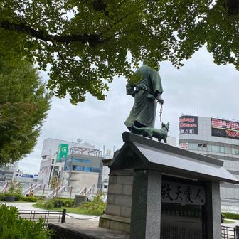 シュウマイまいどドンマイ