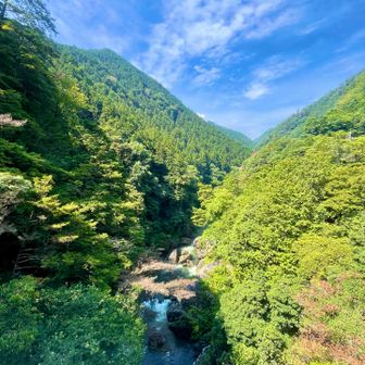 橋の上から上流の方
