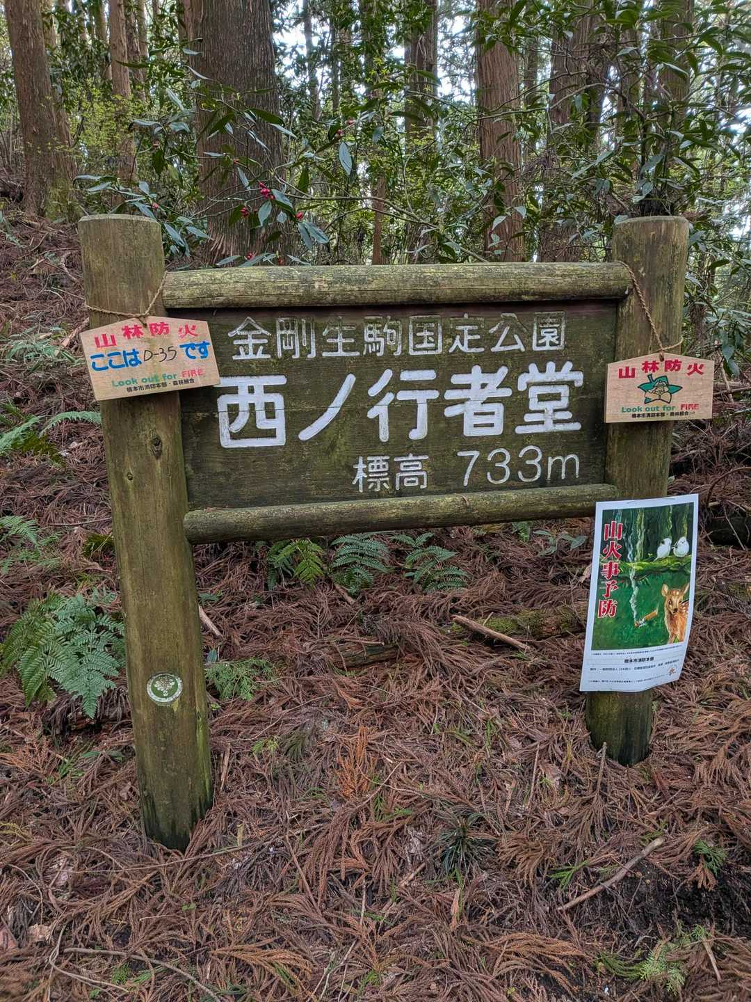 ロープウェイ前バス停-千早峠-神福山-谷尻峠-行者杉-杉尾 縦走コースの写真