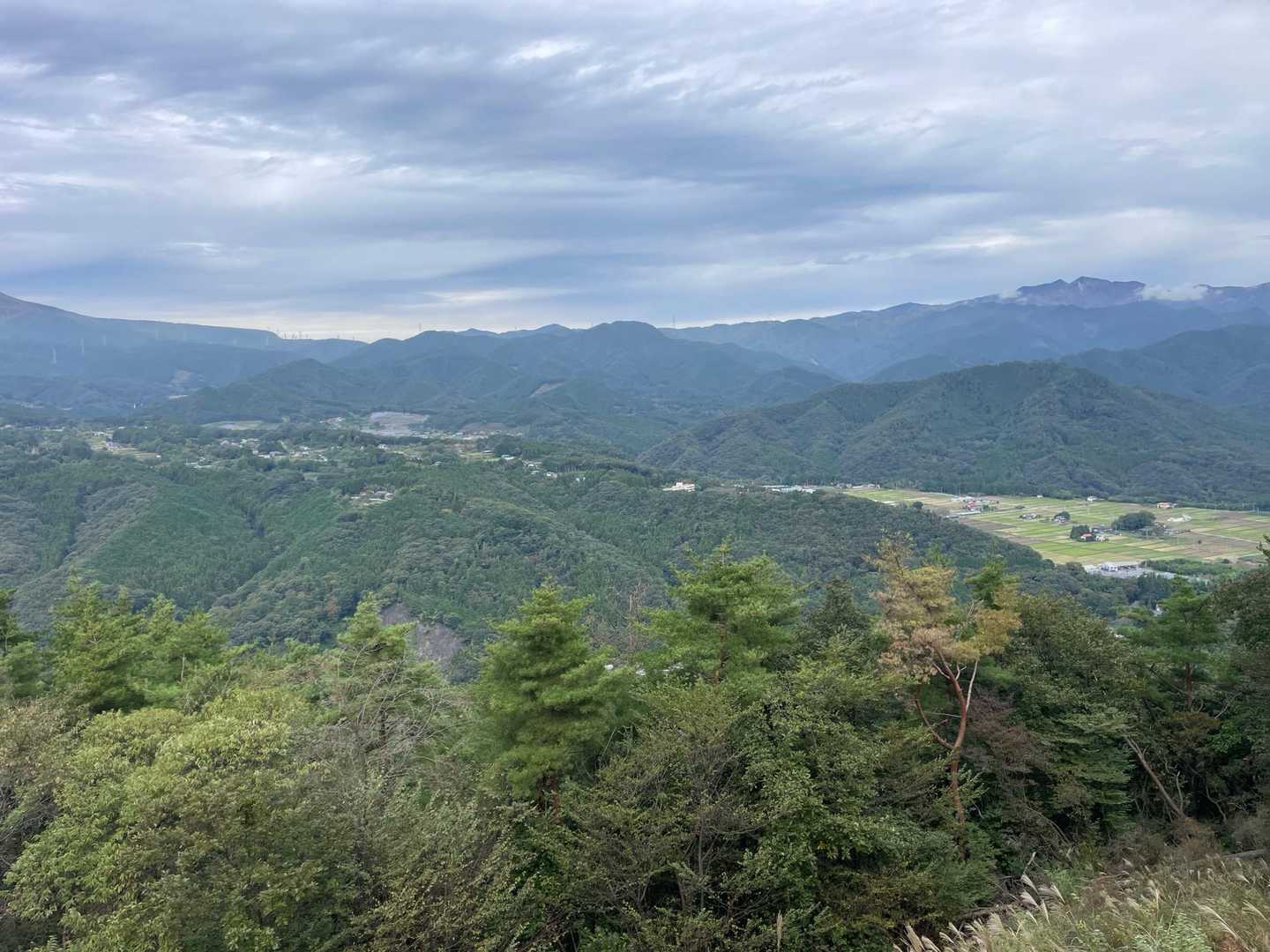 荒神山 往復コースの写真