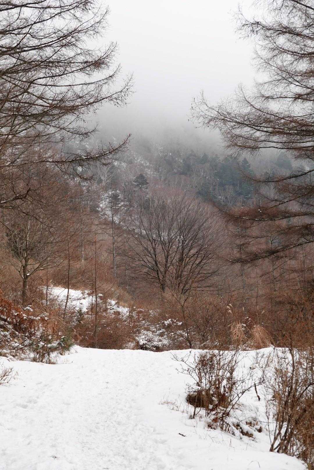 そらは真っ白