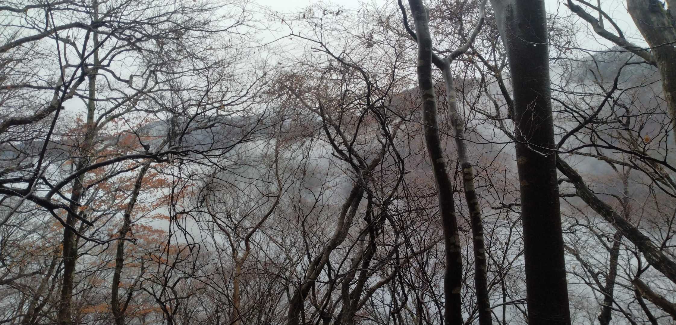 ガスガスです。