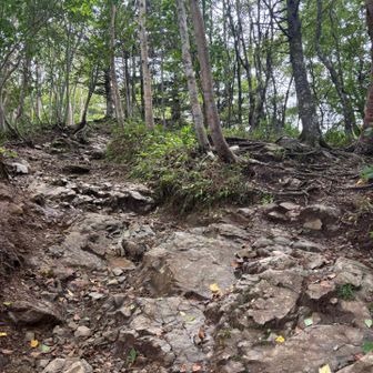 登山ぽくなってきた😊