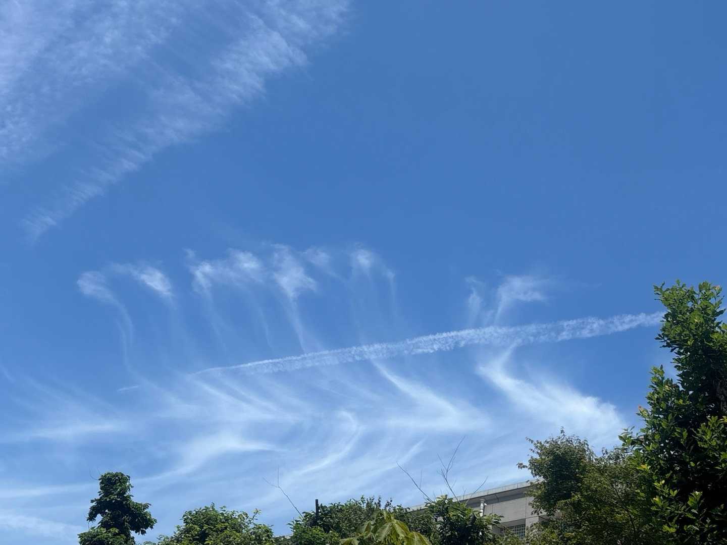 これと言った景色もないので空撮ってみた😅
雲の形が面白い🤣