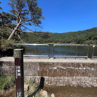 白紫池のほとり