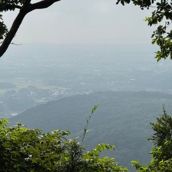 鮮明には見えず