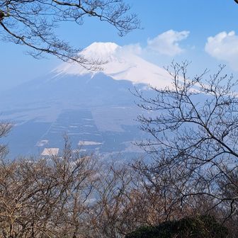 この尾根の右側、新緑が出るまでは木々の向こうに富士山が見えます