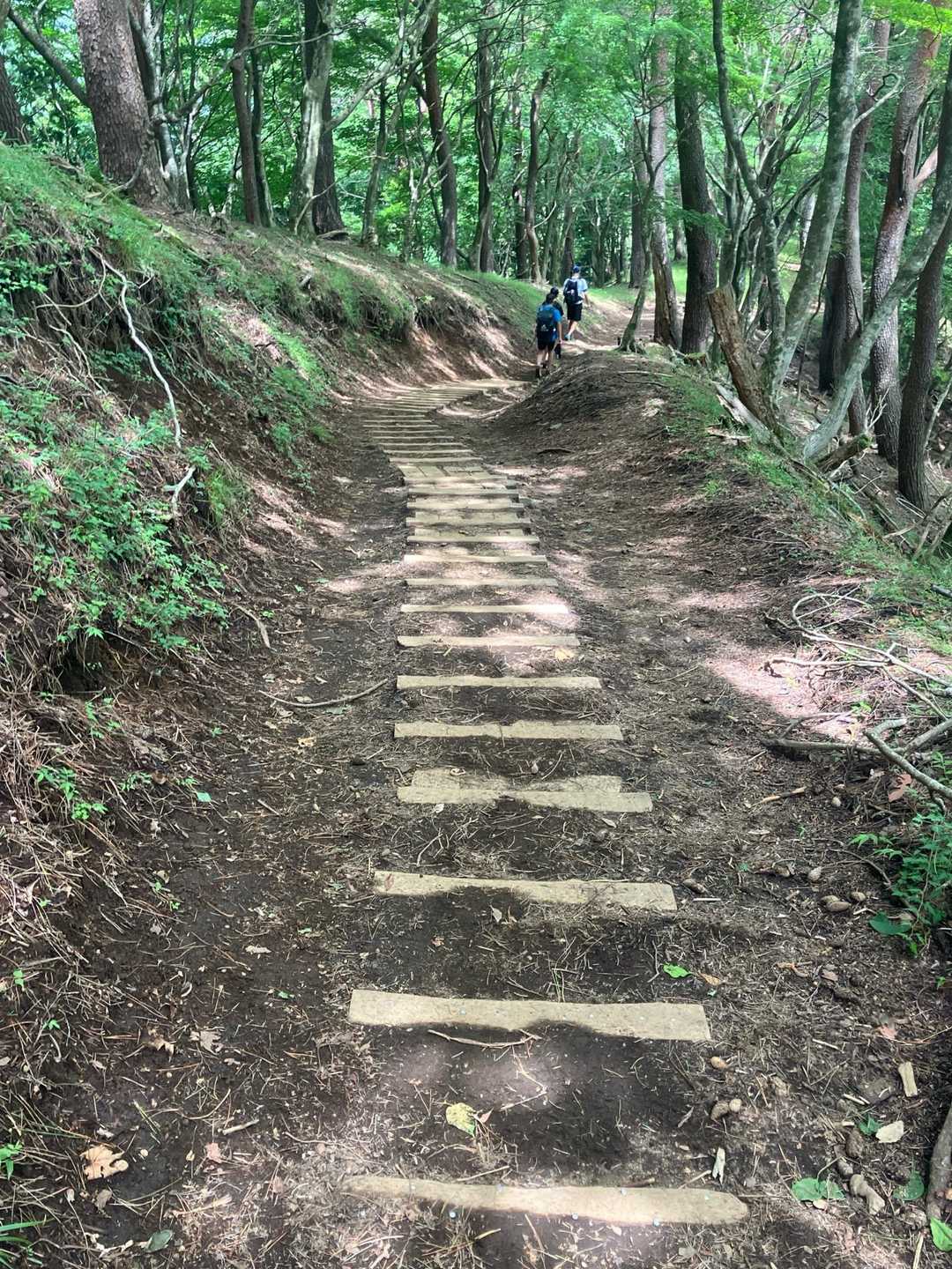 線路は走るものと勝手に考えてます🤣

🏃を見かけたら多分僕です😅