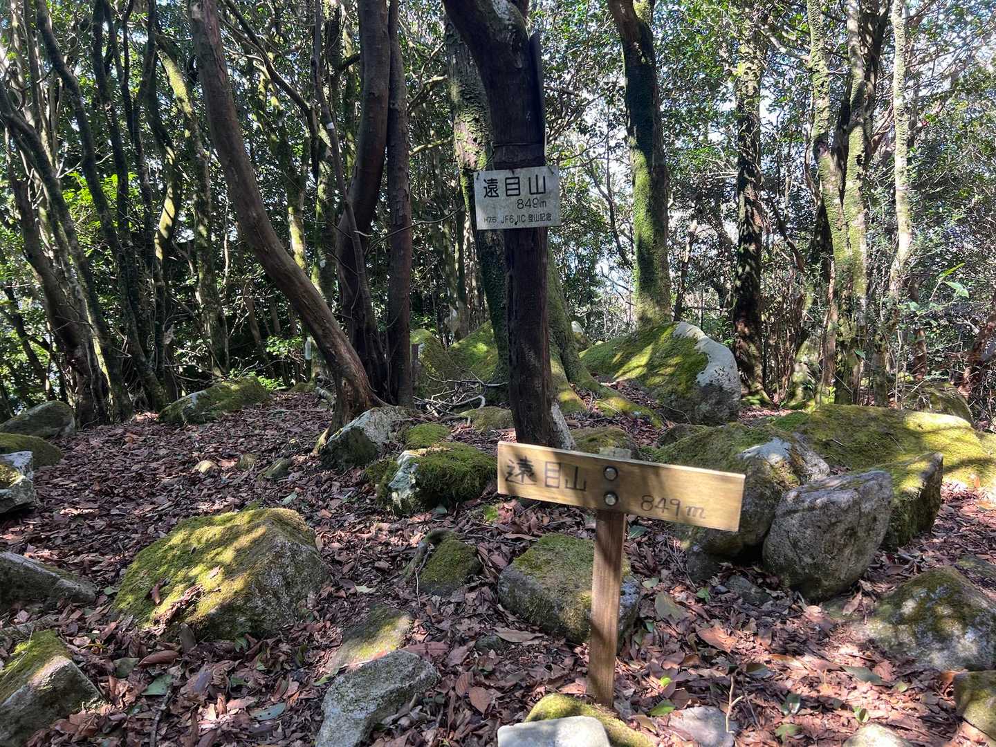 遠目山！
眺望はありません😭
周囲のランナーも続々通過🚶‍♂️🚶‍♀️🚶