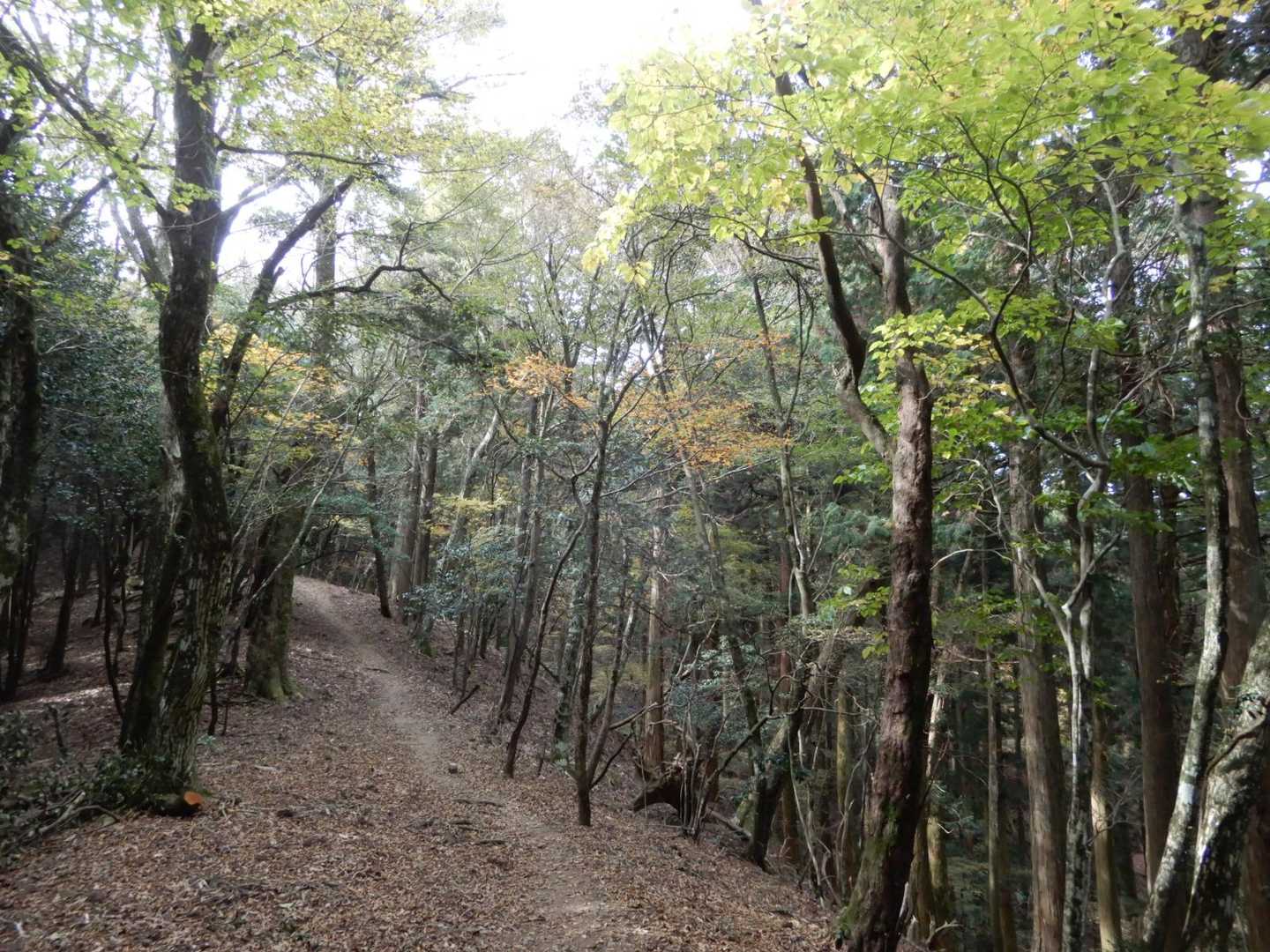 快適な縦走路