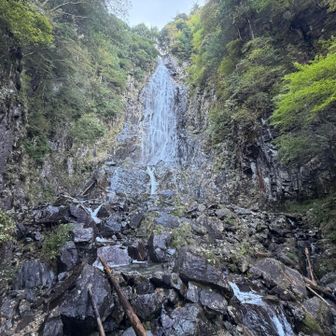 どこ行った？女神