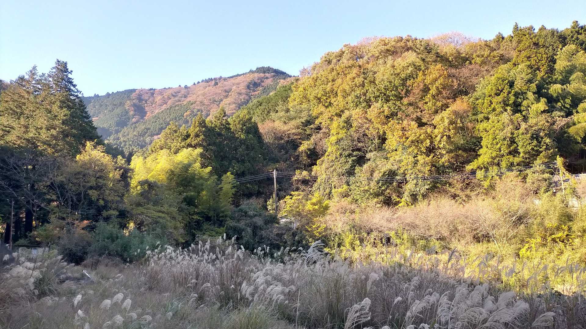 河鹿の沢バス停-鐘ヶ嶽バス停-鐘ヶ嶽 周回コースの写真