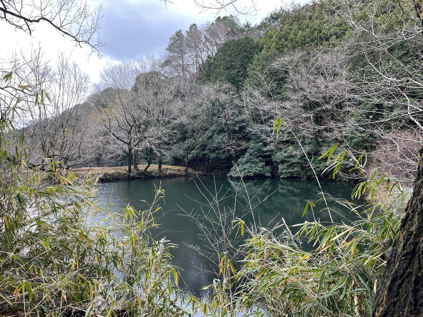 二上山駅-第二十六経塚「二上山 陀羅尼品」-二上山-岩屋峠 縦走コースの写真
