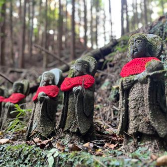 oimoちゃんとゆっきんのレポに必ず登場する六地蔵さん🙏やっと会えた❣️