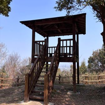 新装オープンしました🎊
まだ手すりはニスの匂いが…