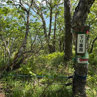 ロープ場　下り専用