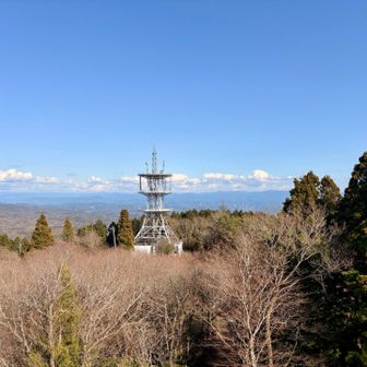 遠くアルプスはやっぱり見えない🫥

絶対またゆっくりお邪魔します🙏