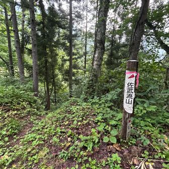 佐武流山へ一旦降ります↘️